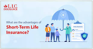 Short-Term Commercial Insurance A Flexible Solution for Temporary Needs